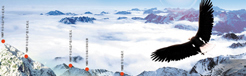 2496改性MDI如何改善硬泡生產(chǎn)過(guò)程中的加工寬容度
